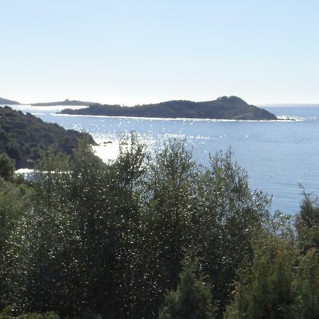 Appartement T2 50M² Vue Mer Presqu'Il De Giens. Rc Hyères Eksteriør bilde