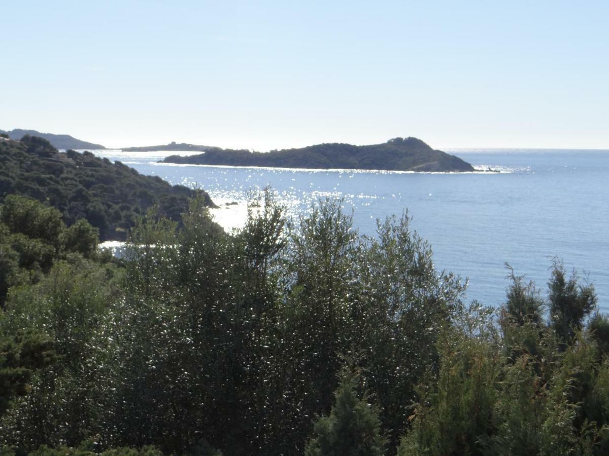 Appartement T2 50M² Vue Mer Presqu'Il De Giens. Rc Hyères Eksteriør bilde